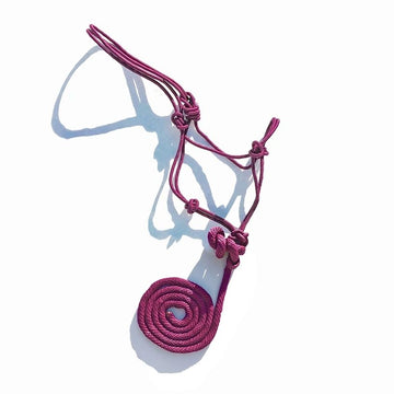 Rope Halter 5/16" with 5/8" x 8 ft Removable Lead, Solid Colors