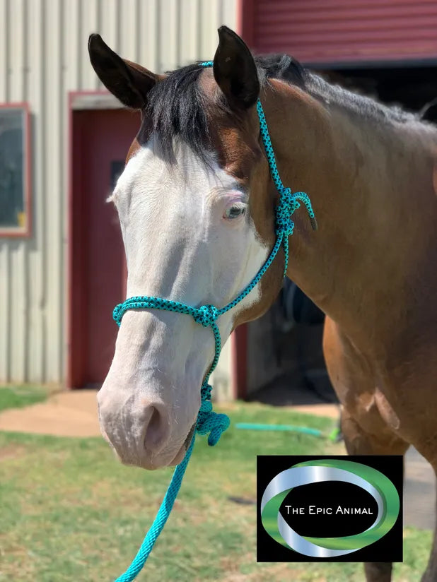 Rope Halter, Diamond Braided with 8' Lead