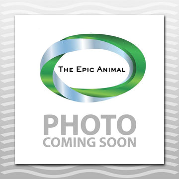 Bungee Trailer Ties NP Panic snap on one end & Bull snap on other end