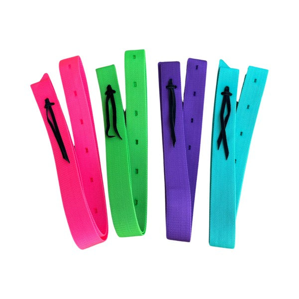 Tie Strap Poly Web 2" x 6'