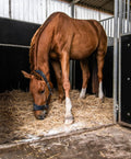Brown horse eating hay in a stable