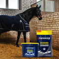 Horse wearing a dark blue blanket with Sandezia bedding products