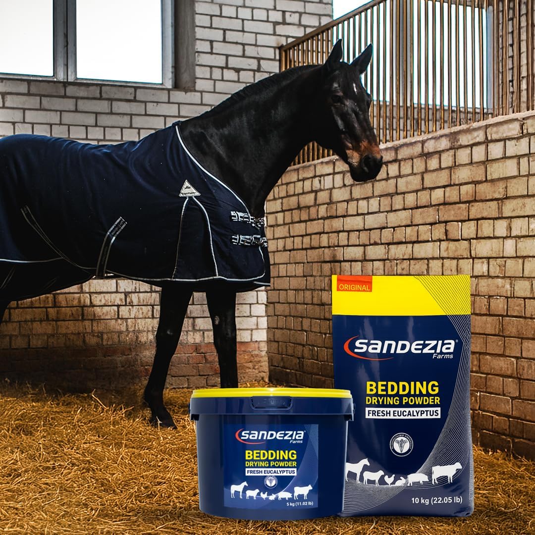 Horse wearing a dark blue blanket with Sandezia bedding products