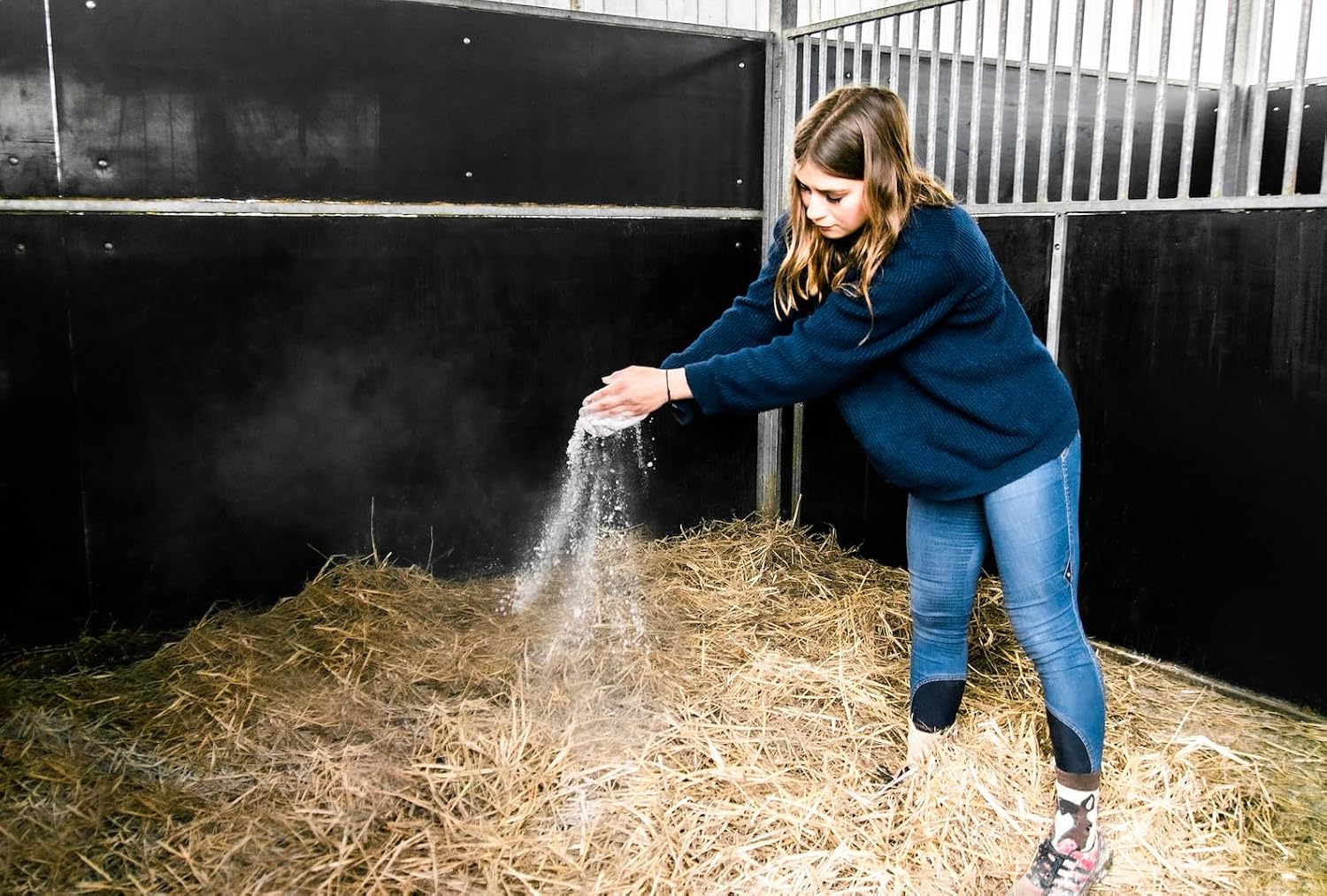 Person sprinkling Sandezia Bedding drying powder into horse stall bedding