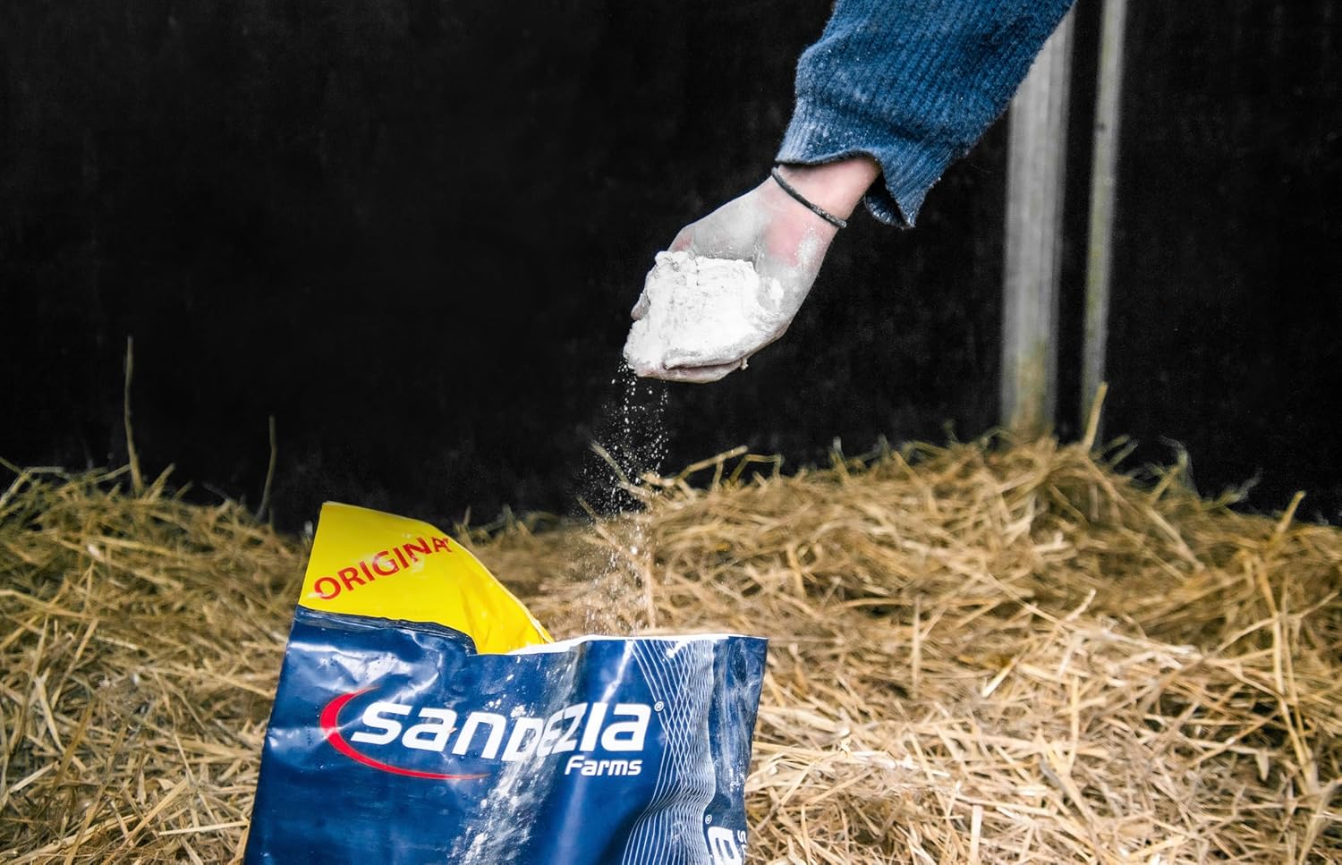 Person sprinkling a sandezia bedding powder from Sandezia Farms in a livestock stall