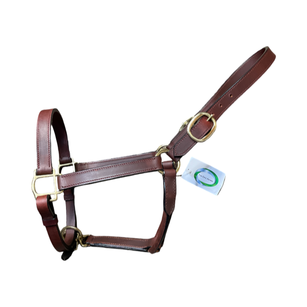 Brown leather horse halter with a tag on a grassy background