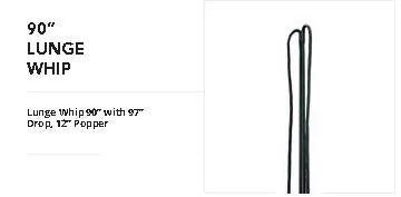 Horse Whip