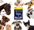 Sandexia Farm bedding drying powder package surrounded by various animals on a white background