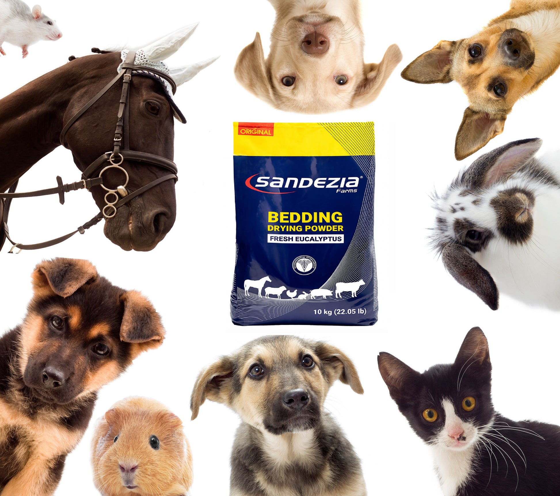 Sandexia Farm bedding drying powder package surrounded by various animals on a white background