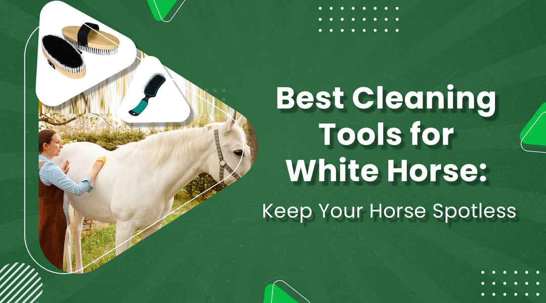 Best Cleaning Tools for White Horses –Horse Grooming Essentials