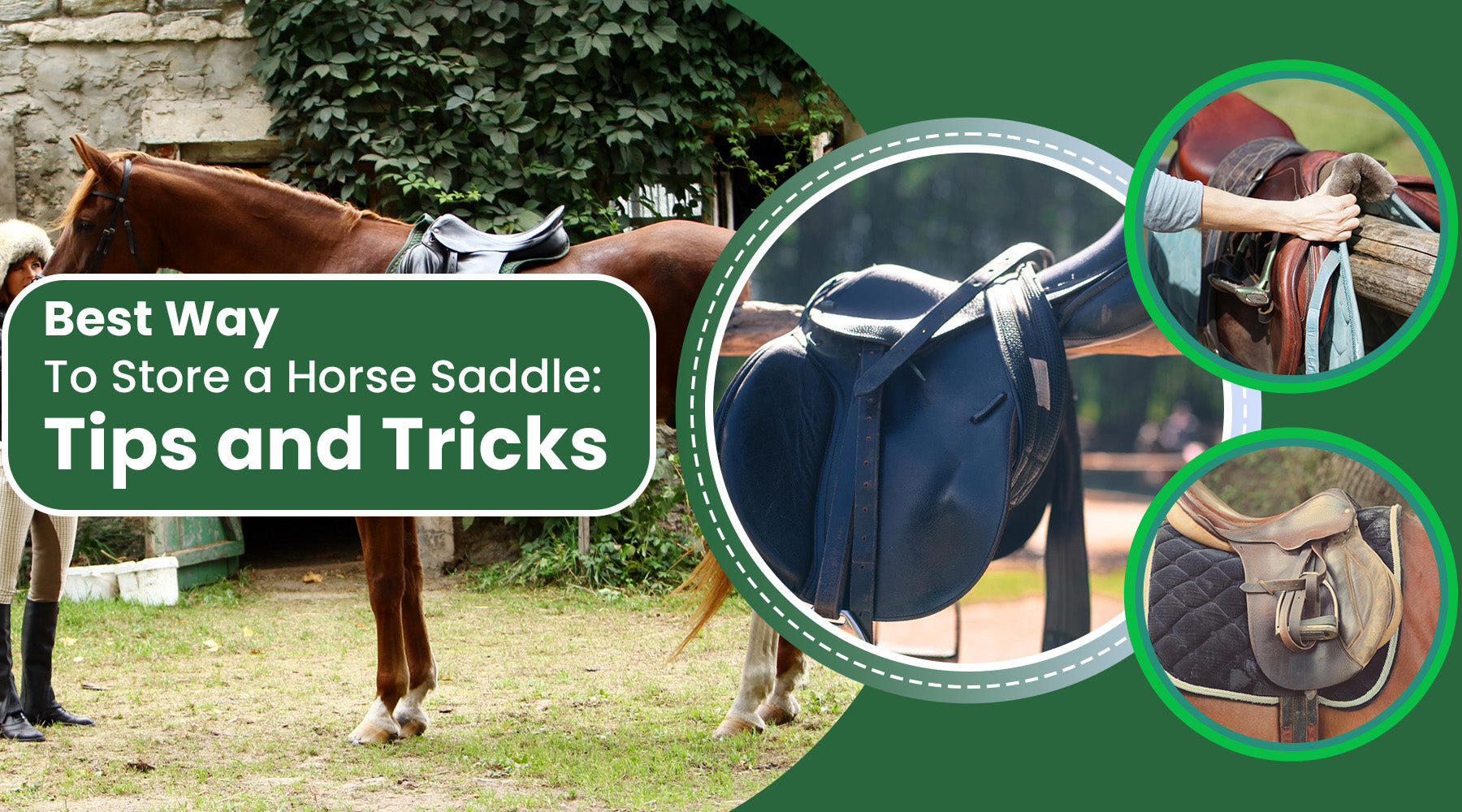Best Way to Store a Horse Saddle