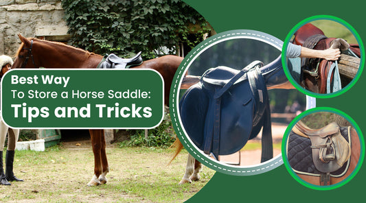 Best Way to Store a Horse Saddle