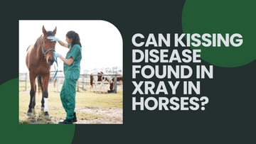 Can Kissing Disease Found in Xray in Horses