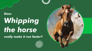 Does whipping the horse really make it run faster?