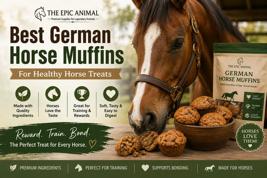 German Horse Muffins