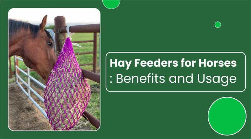 Benefits of Slow Feed Hay Feeders for Horses and Cattle – The Epic Animal