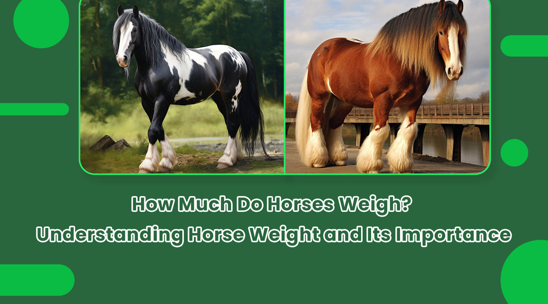 How Much Do Horses Weigh