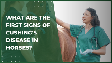 What Are the First Signs of Cushing's Disease in Horses