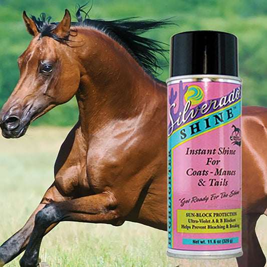 Horse Shine Highlighter Conditioner for Coat, Mane & Tail by Silverado #SSH