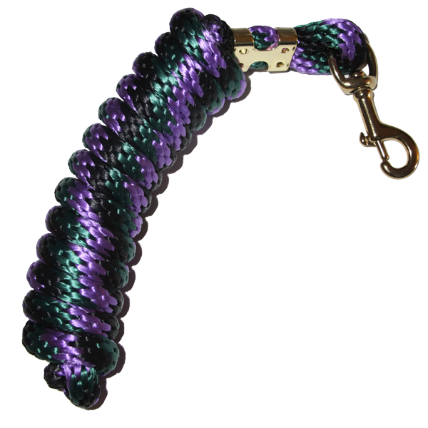 Coiled purple and green 5/8" x 9' poly lead rope with brass-plated bolt snap.