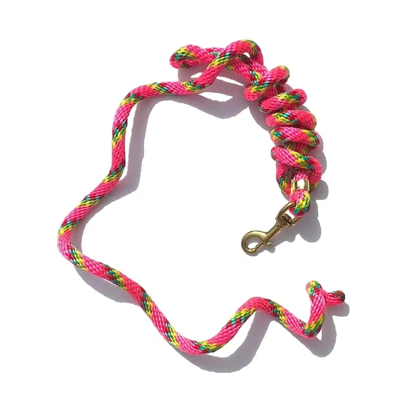 5/8" x 9' Poly Lead Rope, Brass Plated Bolt Snap, Rainbow Colors