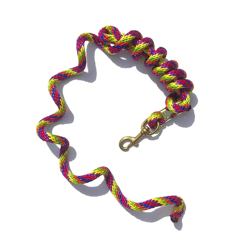 5/8" x 9' Poly Lead Rope, Brass Plated Bolt Snap, Rainbow Colors