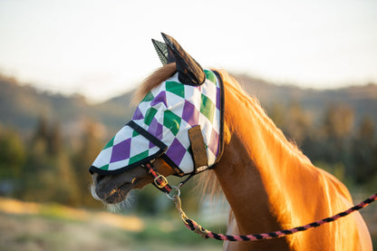 Horse wearing a colorful fly mask with a blurred natural background