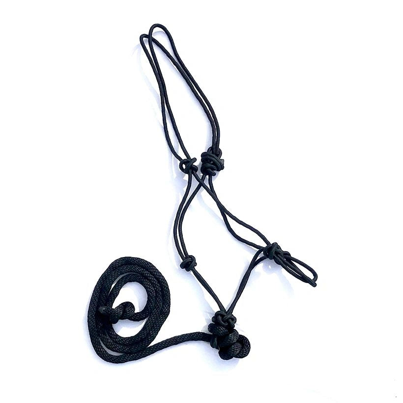 Rope Halter 5/16" with 5/8" x 8 ft Removable Lead, Solid Colors