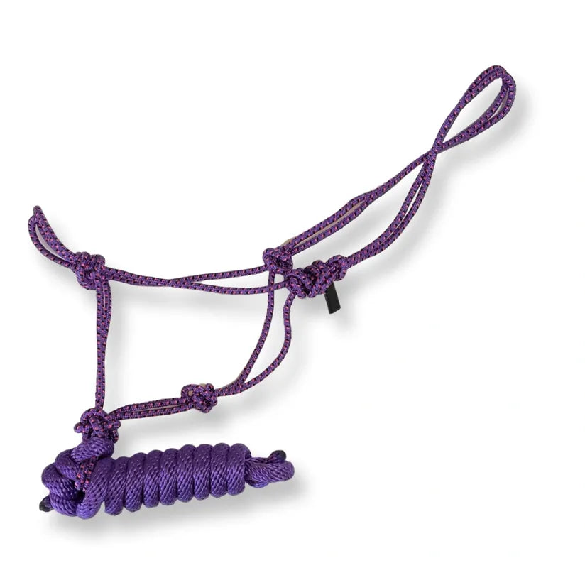 Rope Halter 5/16" with 5/8" x 8 ft Removable Lead