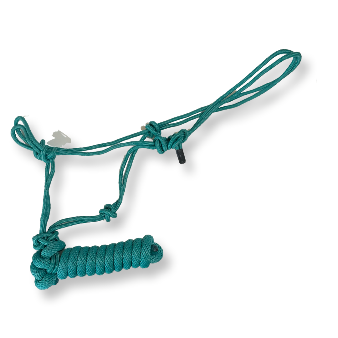 Rope Halter 5/16" with 5/8" x 8 ft Removable Lead, Solid Colors
