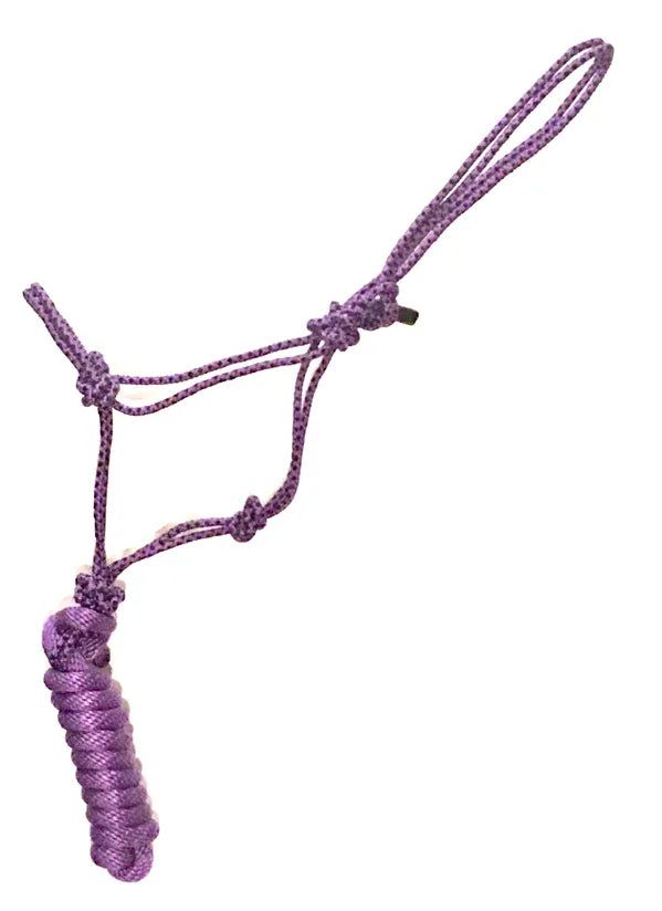 Rope Halter, Diamond Braided with 8' Lead, Colt Size