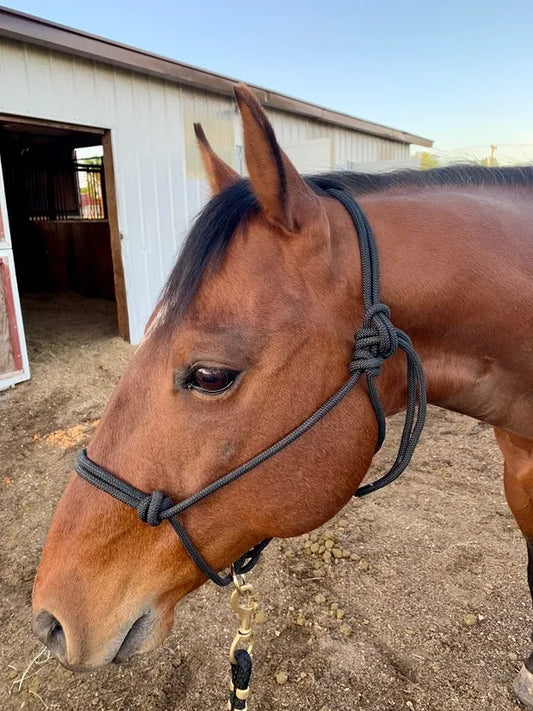 Rope Halter 3/8" with BP Ring #26200