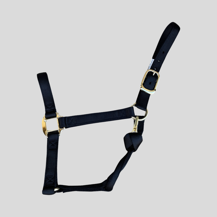 Halter Nylon with Replaceable Throat Snap Horse Size