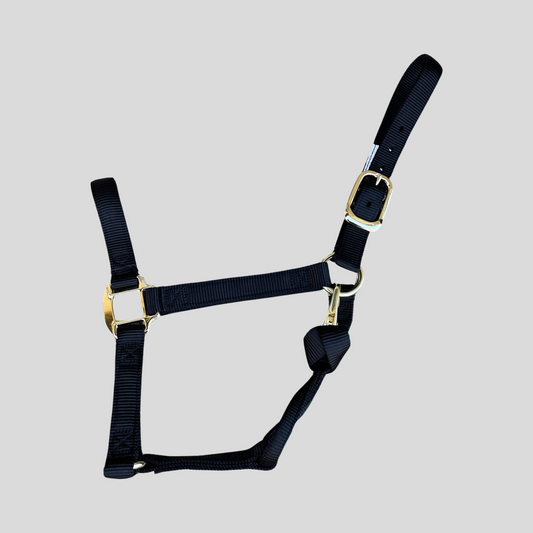 horse Halter Snap