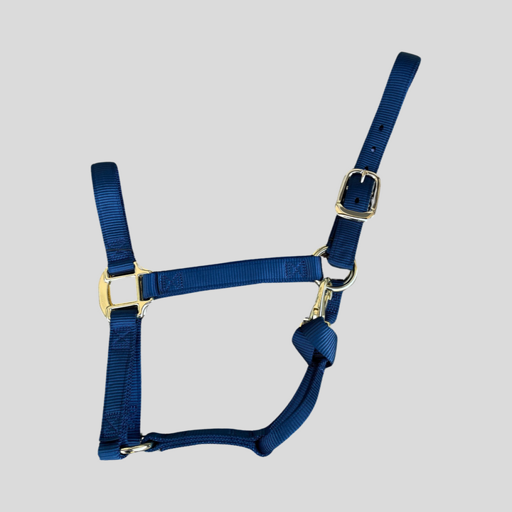 Halter Nylon with Replaceable Throat Snap Horse Size