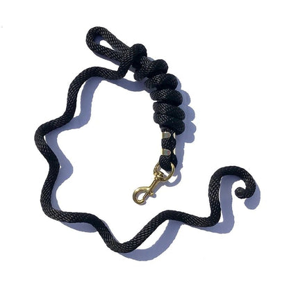 5/8" x 9' Poly Lead Rope, Brass Plated Bolt Snap, Solid Colors