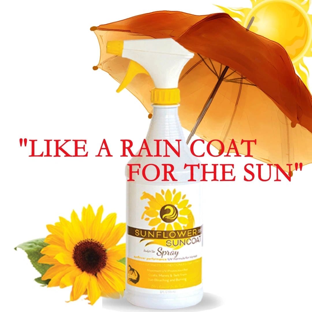 Sunflower Suncoat 32 oz #HSCR32