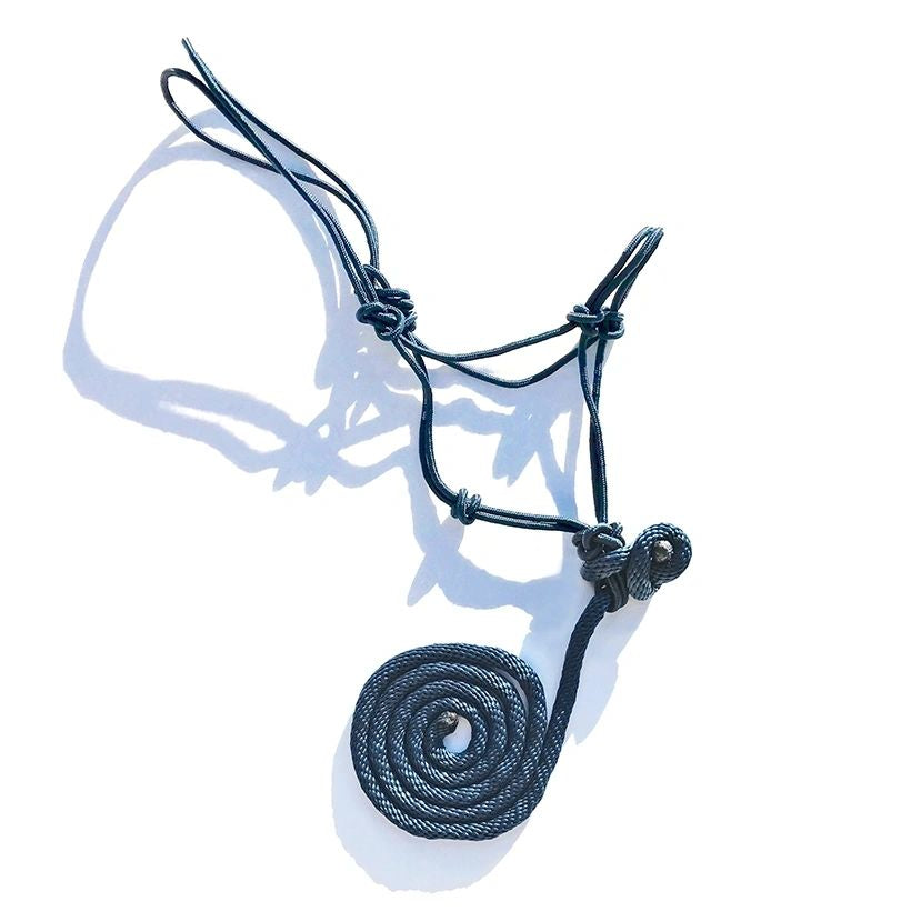 Rope Halter 5/16" with 5/8" x 8 ft Removable Lead, Solid Colors