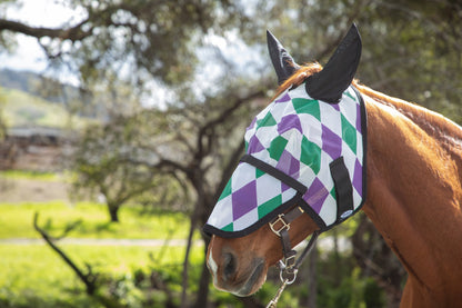 Horse wearing a checkered fly mask in an outdoor setting