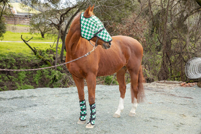 Horse wearing a green and white checkered fly mask in an outdoor setting.