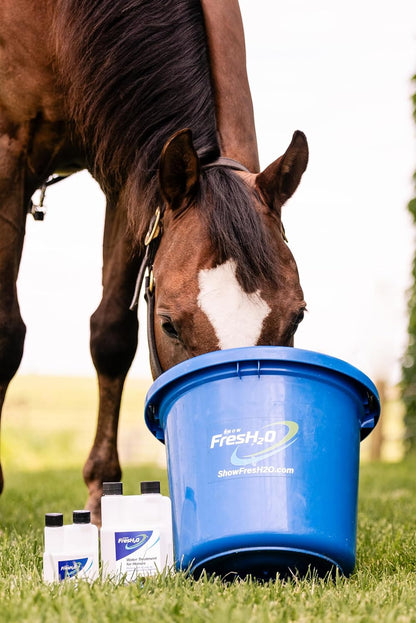 Show FresH2O Equine Water Treatment Bottle, Eliminate Chlorine in Drinking Water, Reduce Risk of Colic by Supporting Hydration, Easy Use