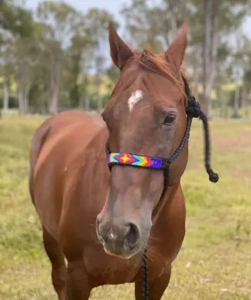 Mule Tape Halter, 10' Lead Rope, Beaded Nose Band