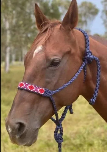 Mule Tape Halter with 10' Lead & Beaded Nose Band