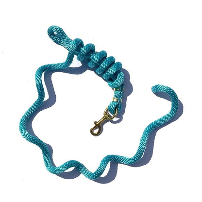5/8" x 9' Poly Lead Rope, Brass Plated Bolt Snap, Solid Colors
