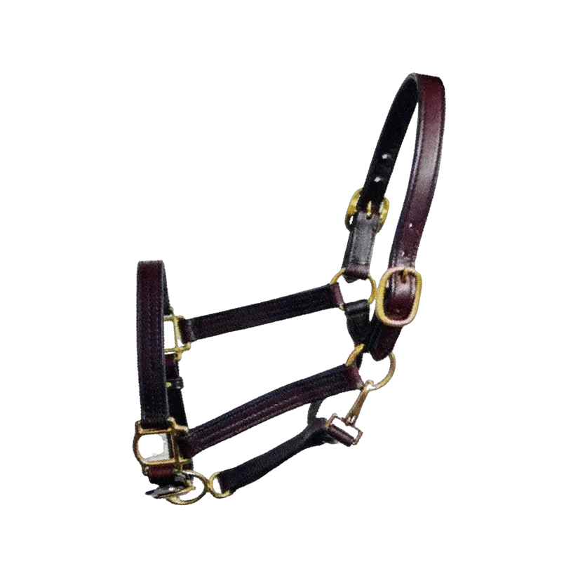 Deluxe Leather Track Halter Cob Size