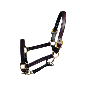 Deluxe Leather Track Halter Cob Size