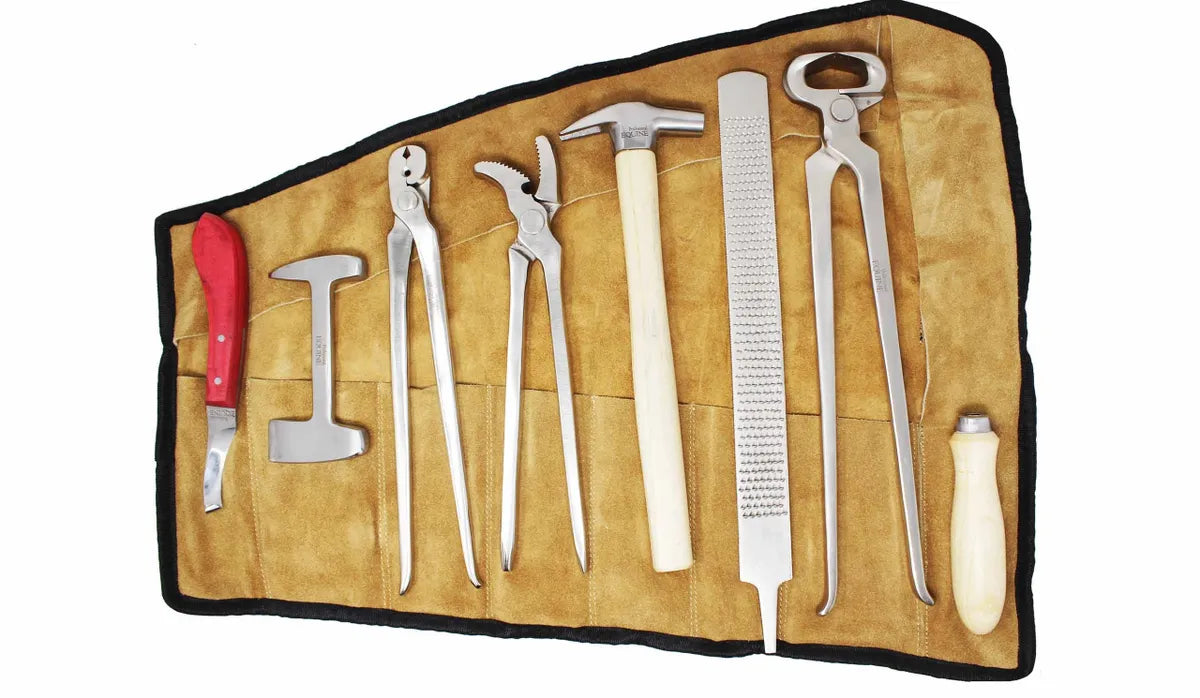 Horse Hoof Grooming Tool Kit