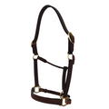 Brown leather horse halter with gold hardware on a white background