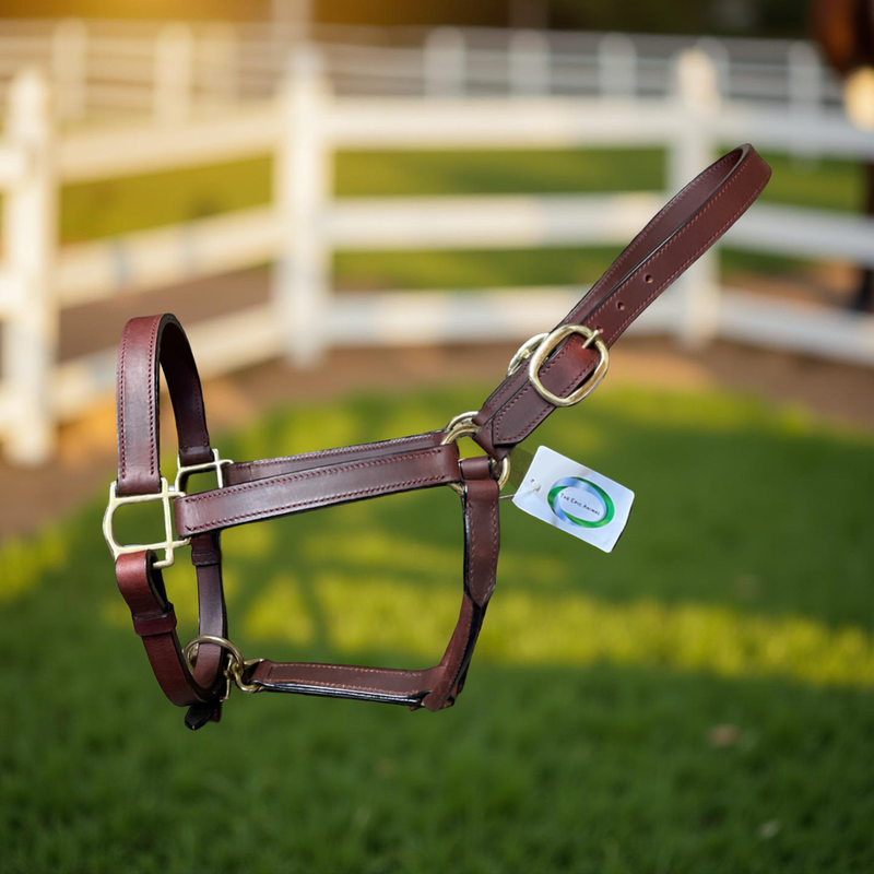 Brown leather horse halter with a tag on a grassy background
