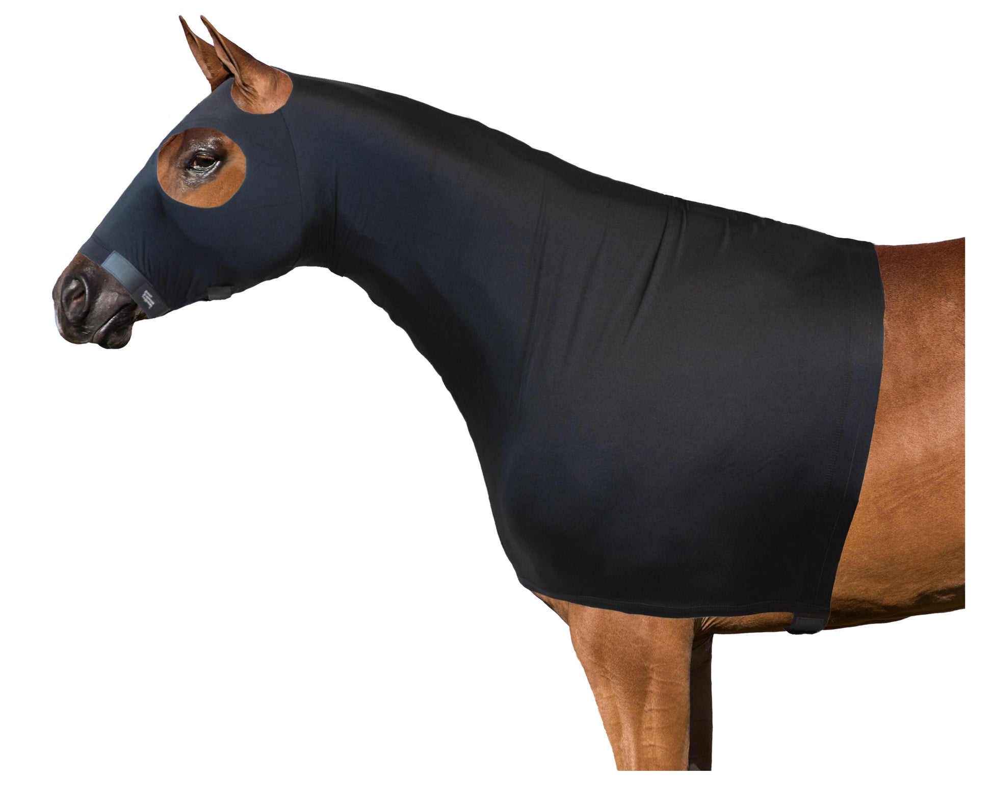 Lycra_Hood_Black_for horses
